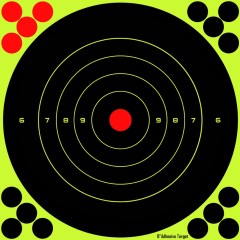 Reactive Shooting Targets - Blackstorm Firearms - 8\" (x25)